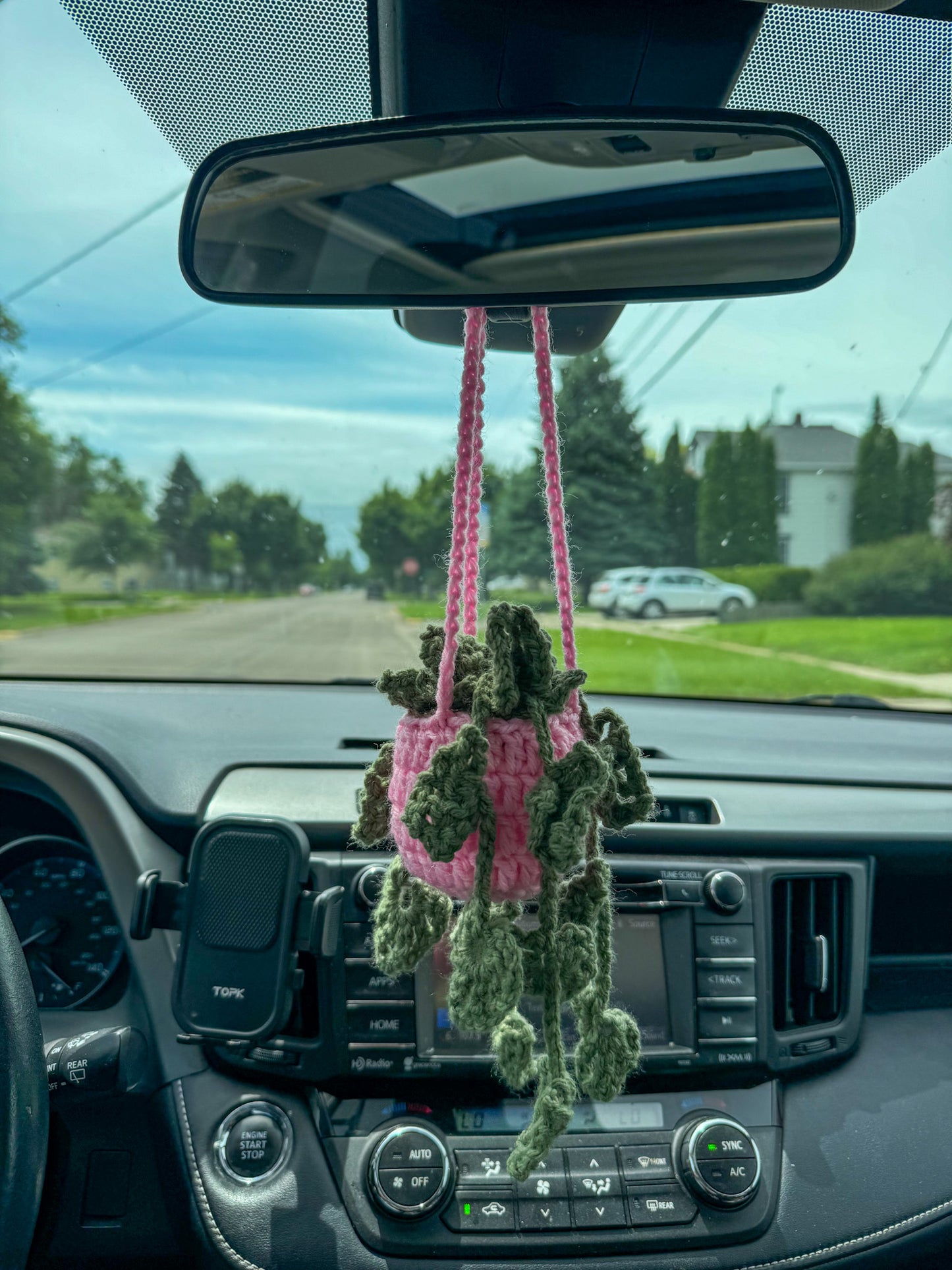 Crochet Pink Hanging Plant