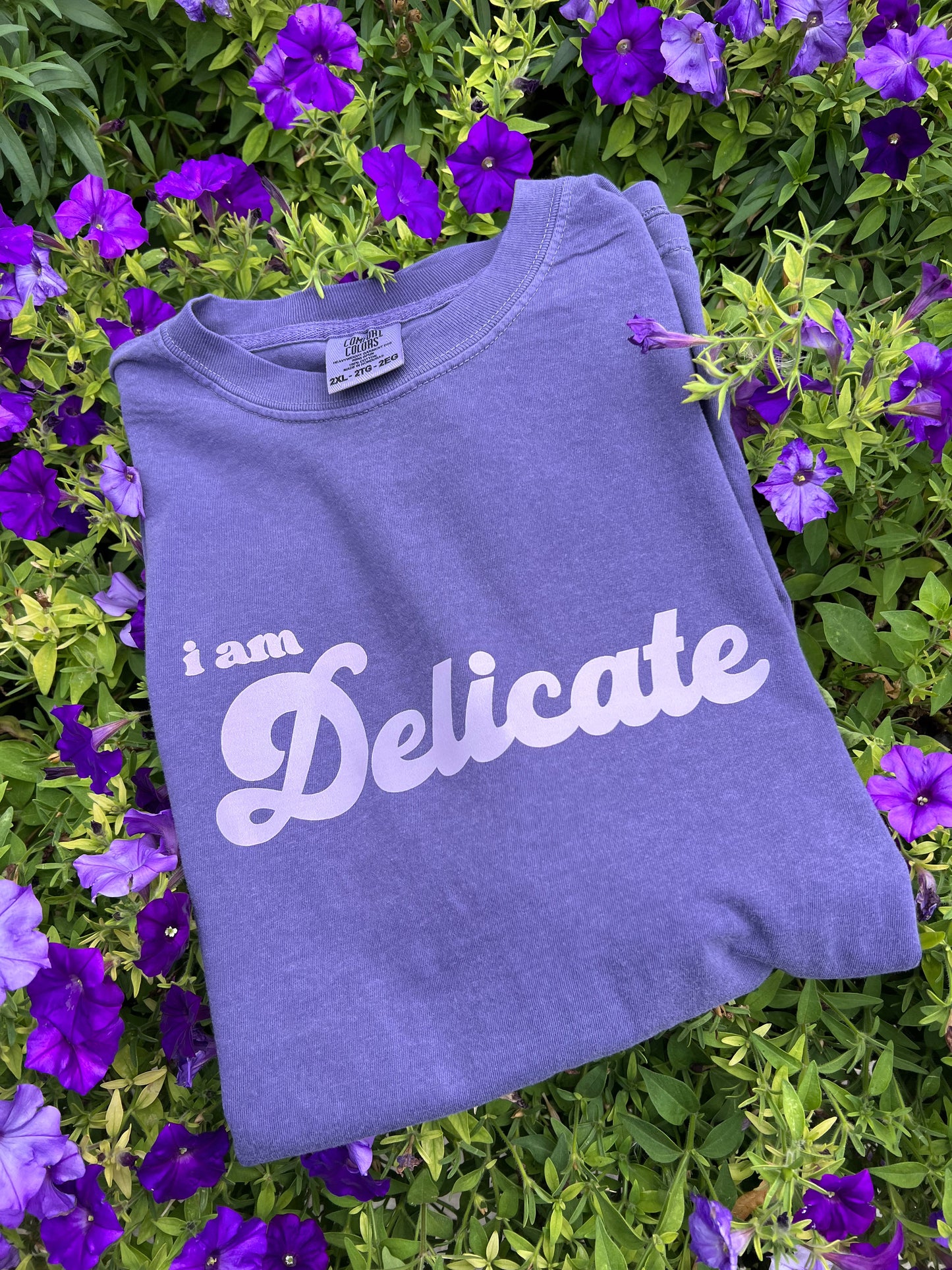 I Am Delicate T-Shirt