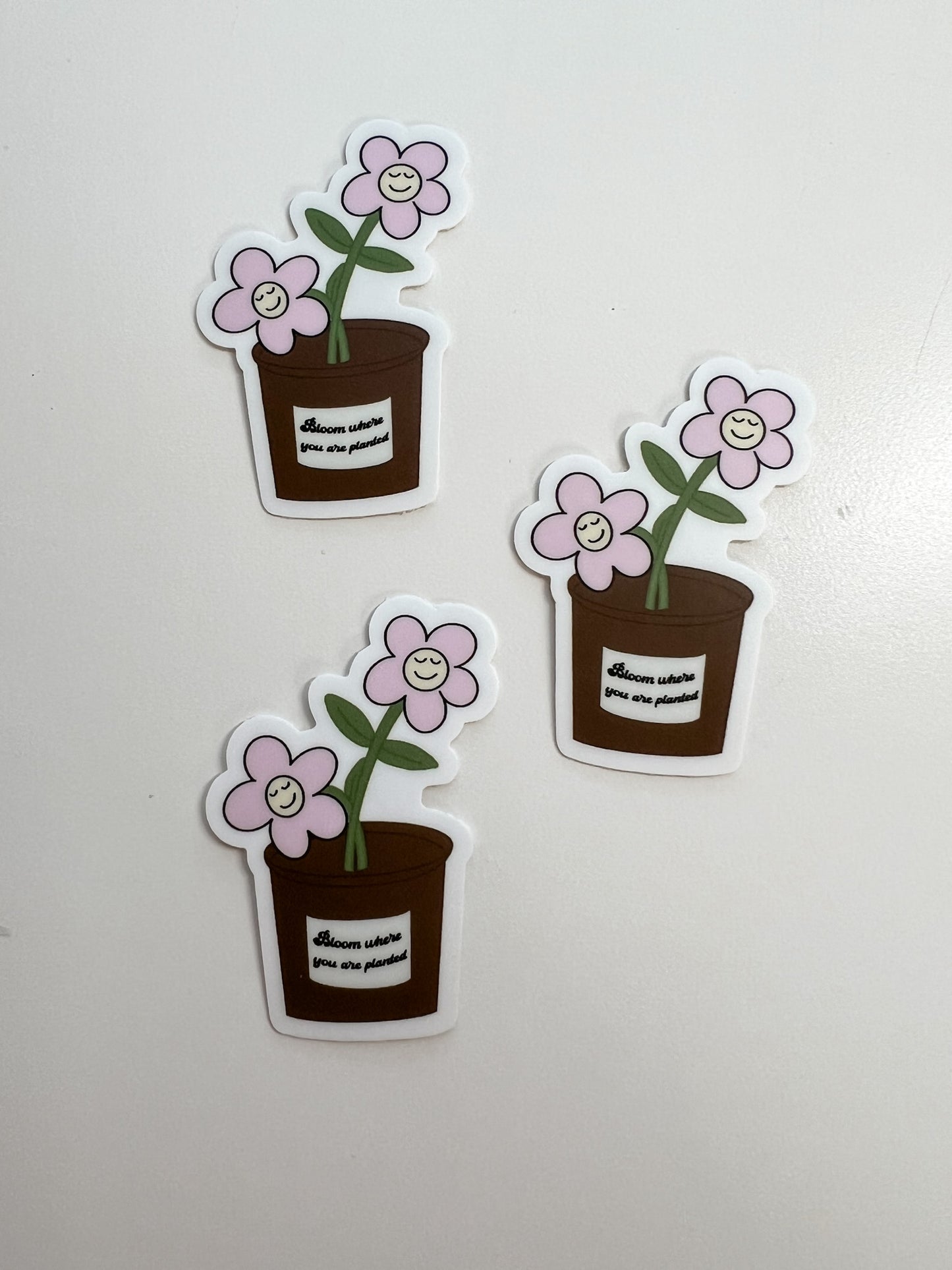 Bloom Where You Are Planted Sticker