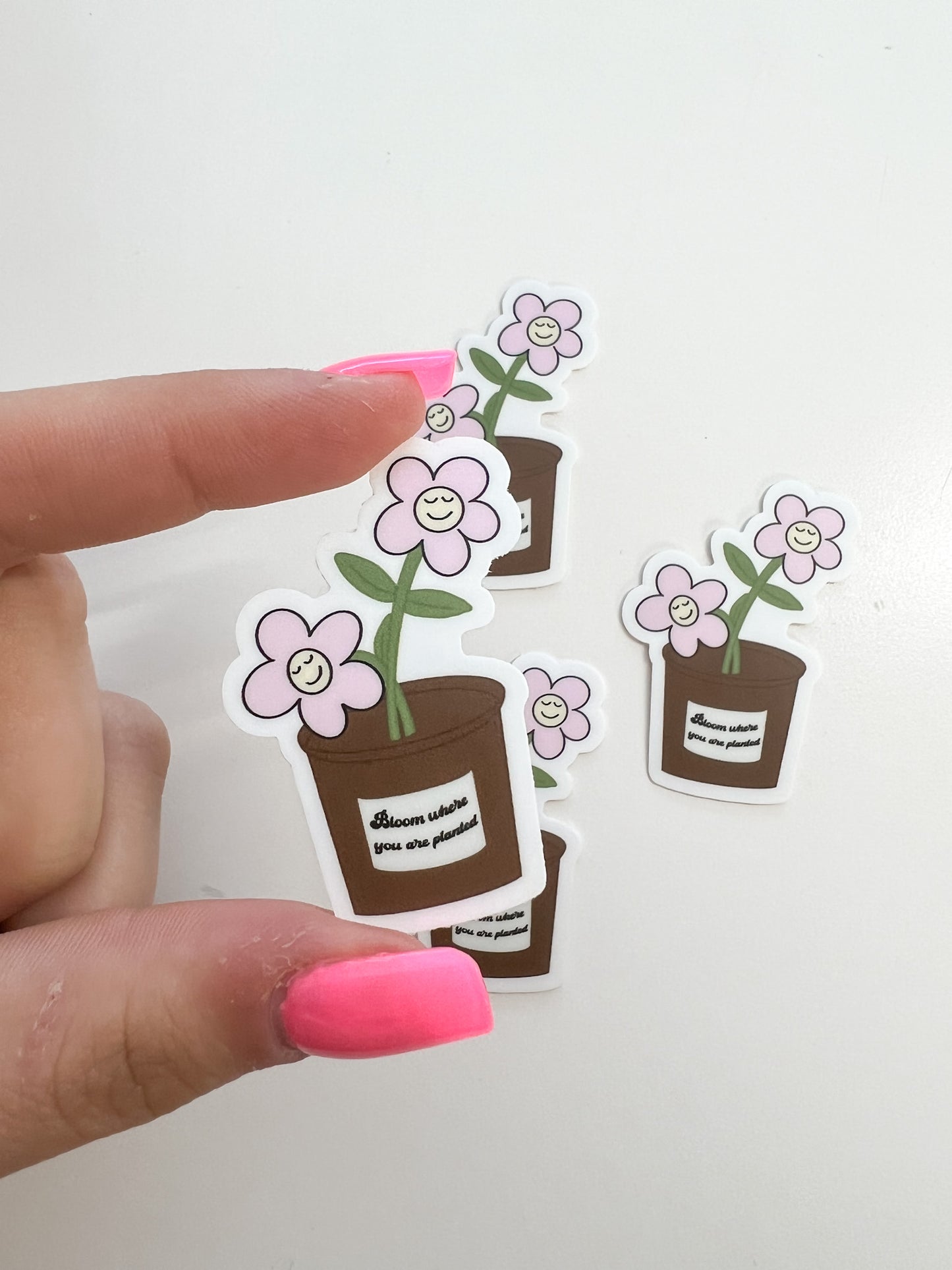 Bloom Where You Are Planted Sticker