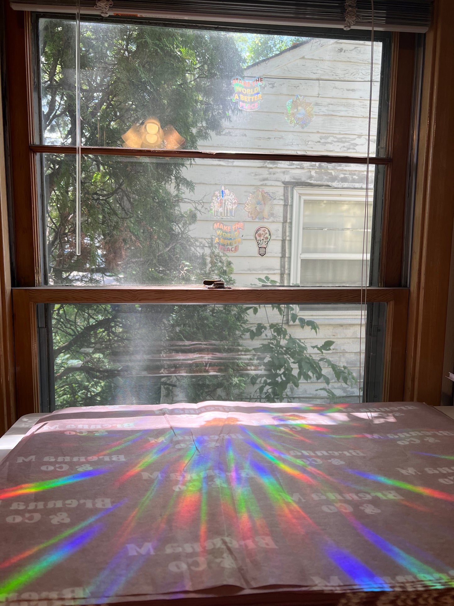Make The World A Better Place Suncatcher