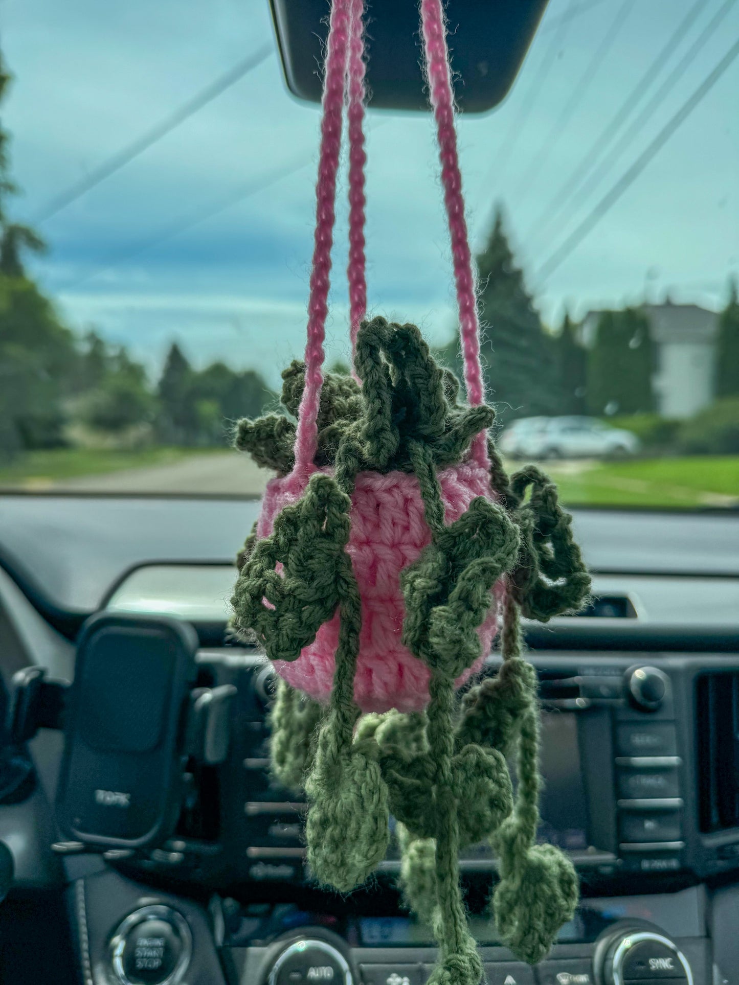 Crochet Pink Hanging Plant