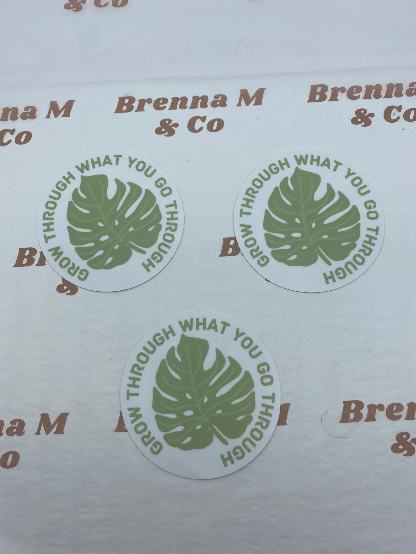 Plant Grow Through What You Go Through Sticker