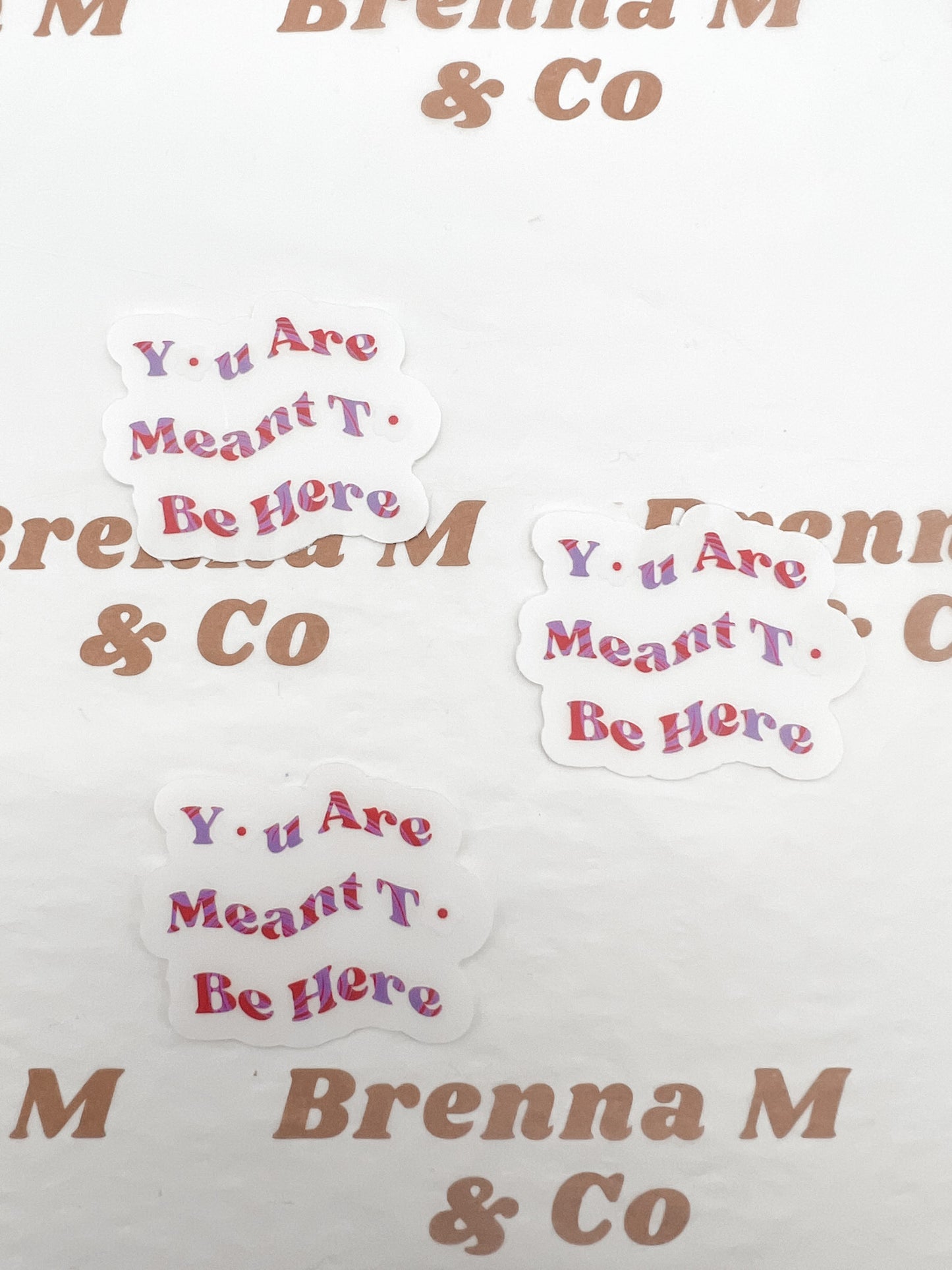 Clear You Are Meant To Be Here Sticker